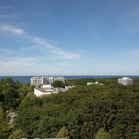 Apartament Papillon