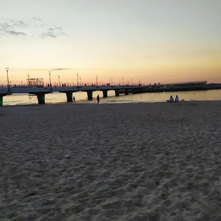 Papillon Kołobrzeg