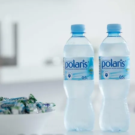 Papillon Kołobrzeg