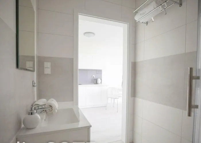 Papillon * Kołobrzeg