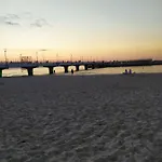 Papillon Kołobrzeg