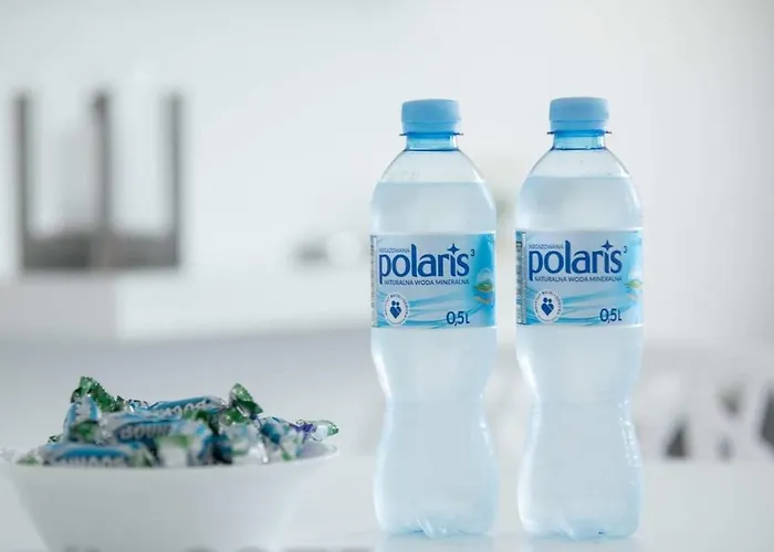 Papillon Колобжег